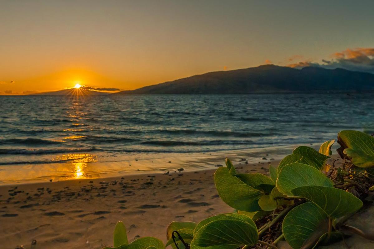 Apartmán Maui Sunset B-115 Kihei Exteriér fotografie